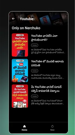 Nerchuko: Short Learning App screenshot