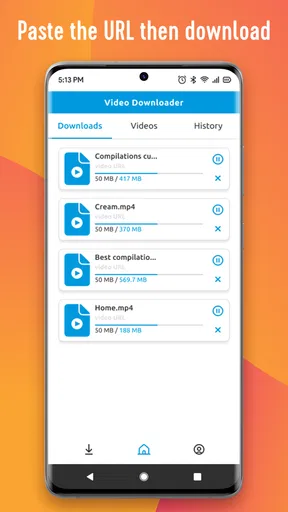 Download & Player screenshot