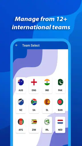 Cricket Manager Journey screenshot
