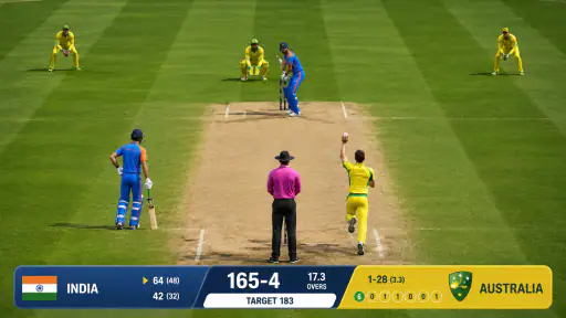 Cricket Match Legends: T20 3D screenshot