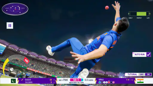 Cricket Smash Championship screenshot