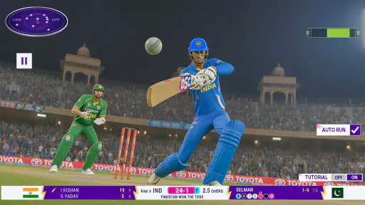 Cricket Smash Championship screenshot