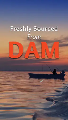 Dam Good Fish & Seafood screenshot