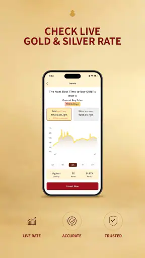 DigiGold screenshot