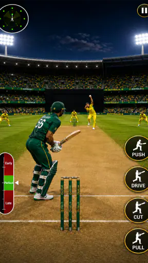 Elite Cricket Premier League screenshot