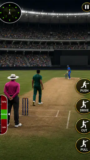 Elite Cricket Premier League screenshot