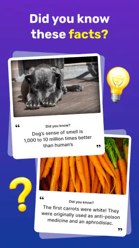 General Knowledge Quiz screenshot