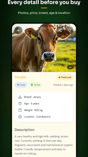 Kattutharai screenshot