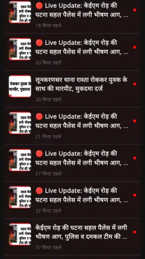 Lion Express screenshot