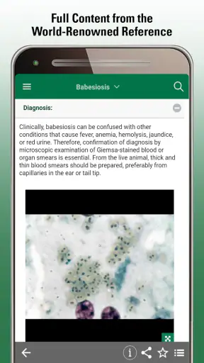 MSD Vet Manual screenshot