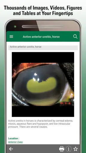 MSD Vet Manual screenshot