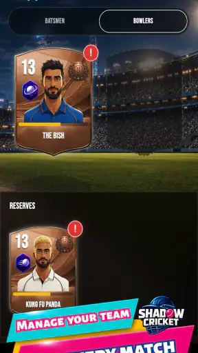 Shadow Cricket - You Are Him! screenshot