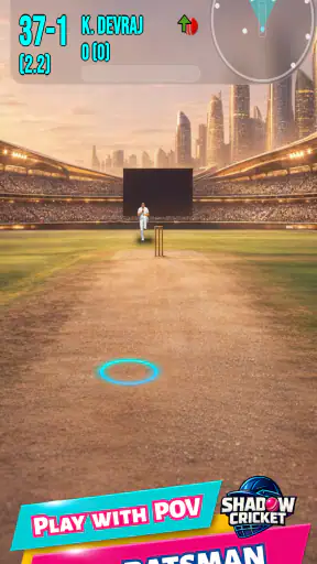 Shadow Cricket - You Are Him! screenshot
