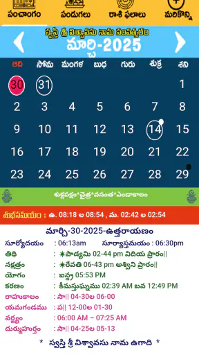 Telugu Calendar Panchang 2026 screenshot