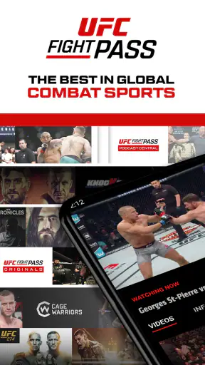 UFC screenshot