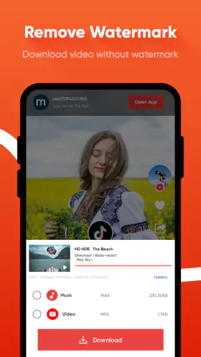 Vidmaster All video downloader screenshot