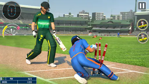 विश्व चैंपियन क्रिकेट गेम 3D screenshot
