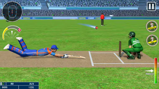 विश्व चैंपियन क्रिकेट गेम 3D screenshot