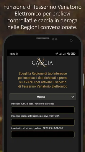 XCaccia screenshot