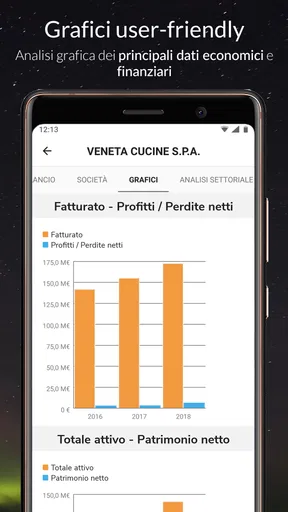 s-peek - Credit report screenshot