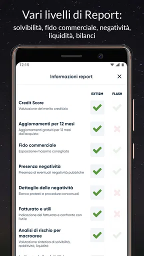 s-peek - Credit report screenshot