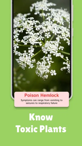 PlantMe - Plant identification screenshot