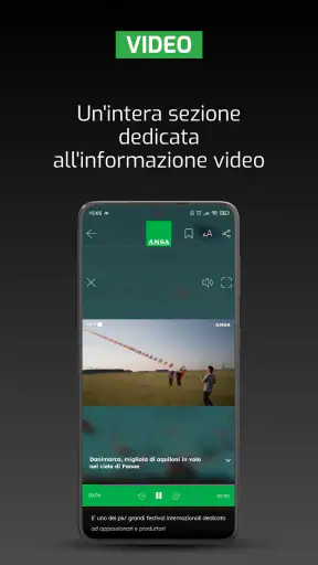ANSA screenshot