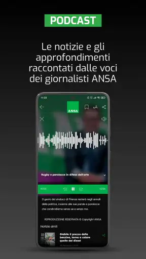 ANSA screenshot