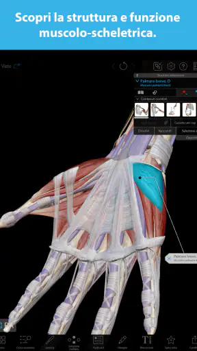 Atlante di anatomia umana 2025 screenshot