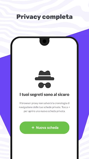 Browser proxy screenshot