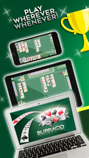 Buraco Pro HD screenshot