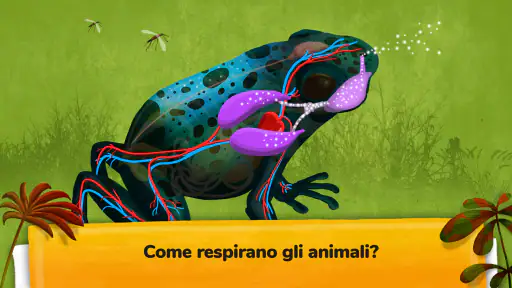 Come funzionano gli animali? screenshot