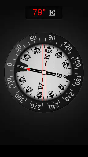 Compass PRO screenshot