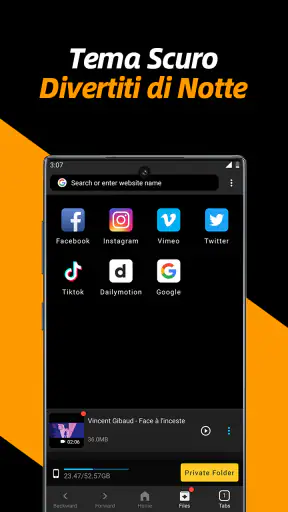 Downloader di video privato screenshot