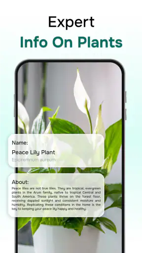 Florant: Ai Plant Identifier screenshot