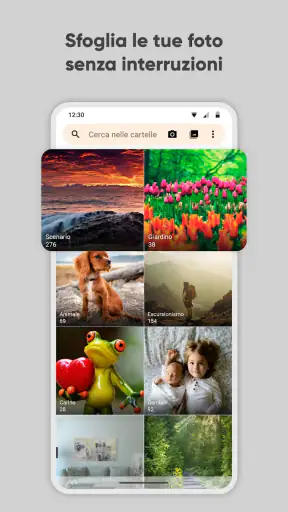 Galleria Semplice Pro screenshot