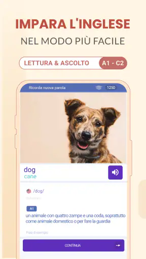 Imparare L'inglese Facilmente screenshot