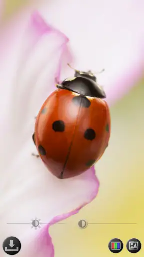 Lente di ingrandimento screenshot