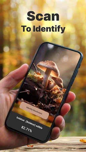 Mushroomizer screenshot