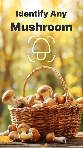 Mushroomizer screenshot