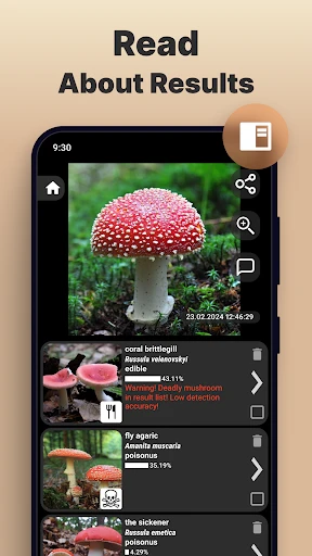 Mushroomizer screenshot