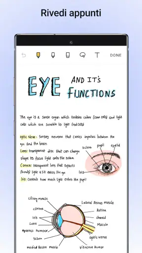 Noteshelf — Note, Annotazioni screenshot