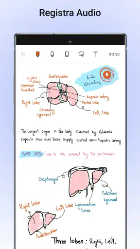 Noteshelf — Note, Annotazioni screenshot