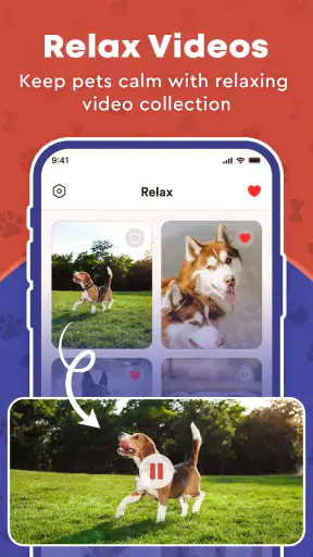 Pet Ai - Dog & Cat Translator screenshot