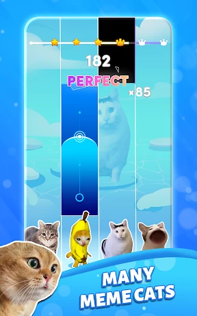 Piano Cat 2: pianoforte meme screenshot