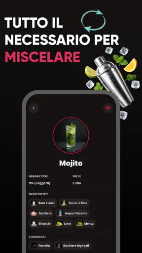 Ricette Cocktail e Drink screenshot