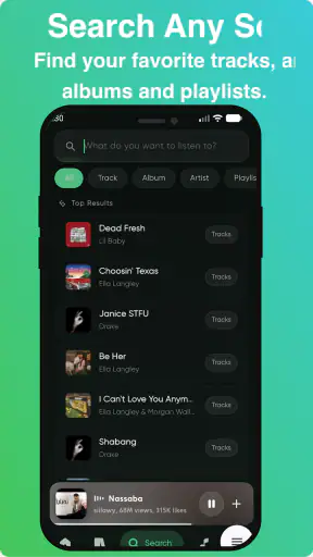 RiMusic screenshot