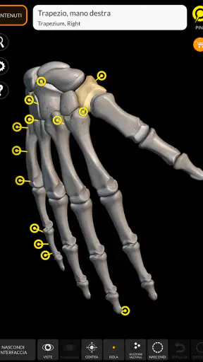 Scheletro | Anatomia 3D screenshot