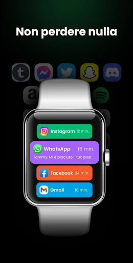 Smartwatch - Wear OS Sincro screenshot