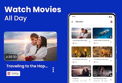Video Player :VIDFO screenshot